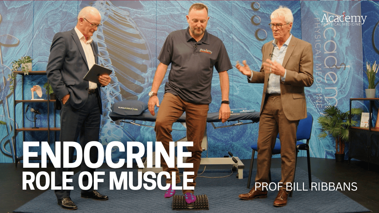 Endocrine Role of Muscle